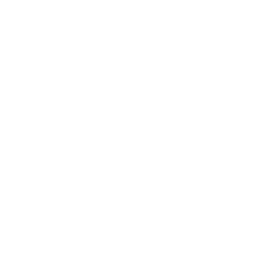 Sentis