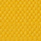 BB 233 saffron