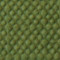 BB 245 fern