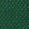 BB 246 forest