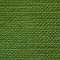 335 Fern